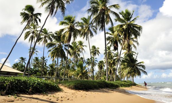 The gorgeous beaches of Brazil