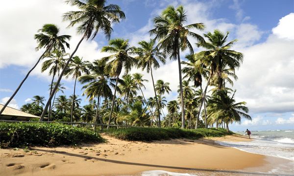 The gorgeous beaches of Brazil