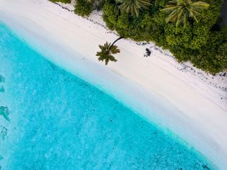 Book BVI Now!