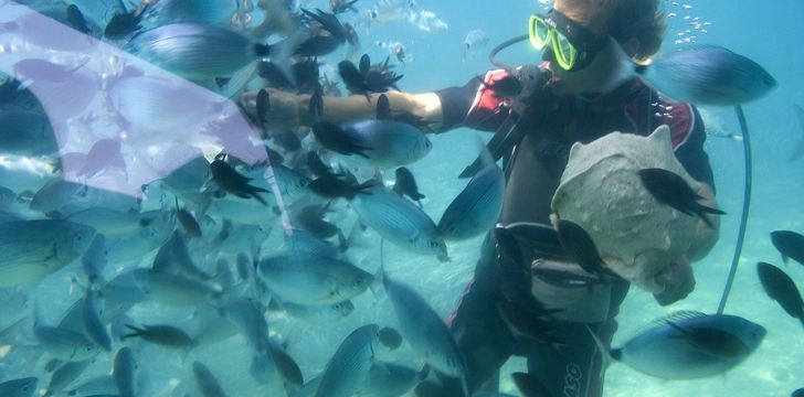 Belize Diving