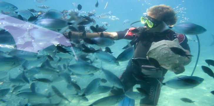 Belize Diving