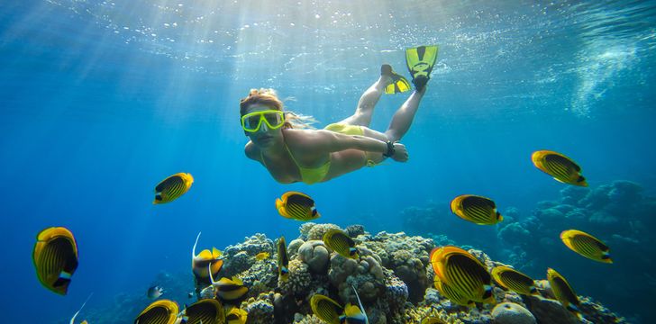 Caribbean Diving