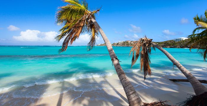 Caribbean blue waters and palm trees in Anguilla