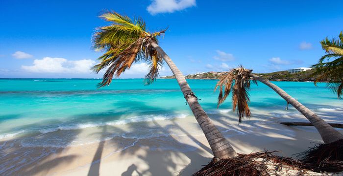 Caribbean blue waters and palm trees in Anguilla