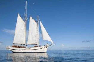 amalfi day charters