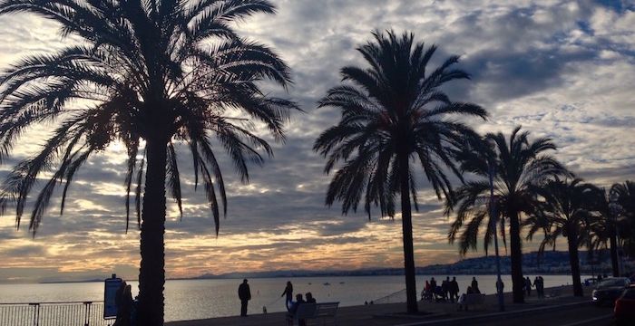 Palm trees in Nice