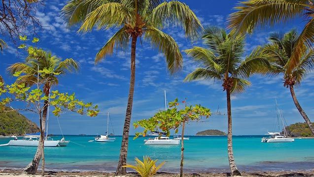 sailing charters in the grenadines