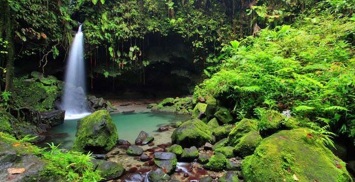 An impressive waterfall in Dominica