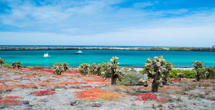 Charter a yacht to the Galapagos Islands