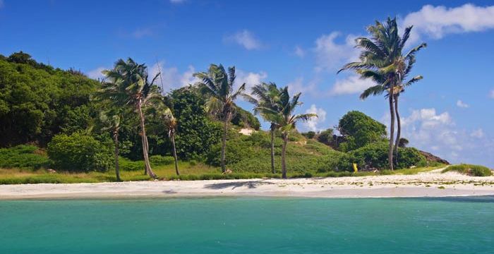 Gorgeous coastlines in the Grenadines