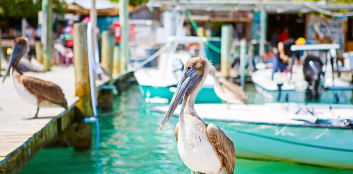 Islamorada