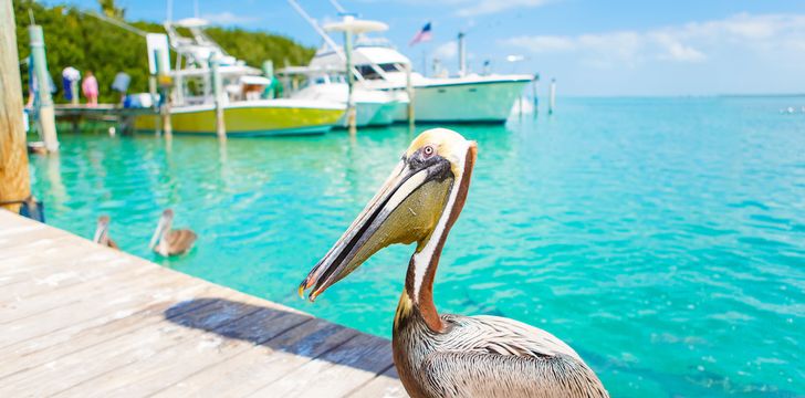 Islamorada and the key yacht charter