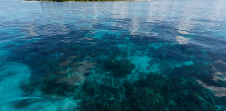 Island Belize