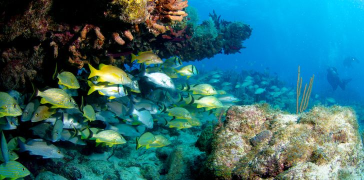 Key Largo