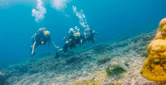 Komodo Diving