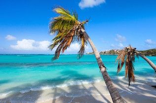 LEEWARD ISLANDS