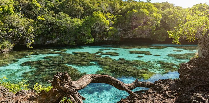 Maré,Loyalty Islands Group new caledonia