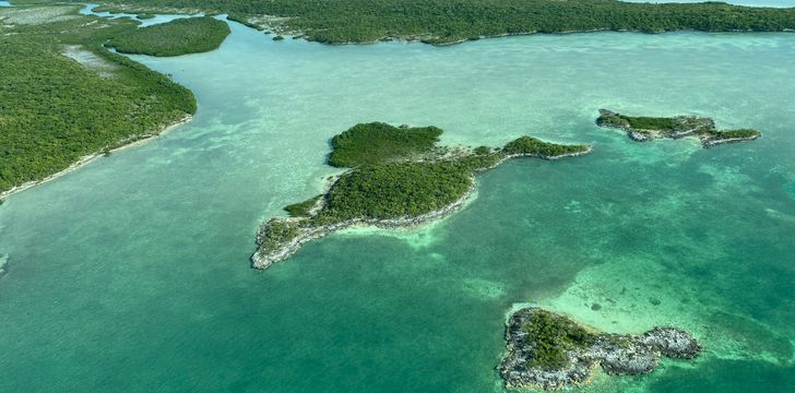 Shroud Cay Low Tide Mangroves,Bahamas