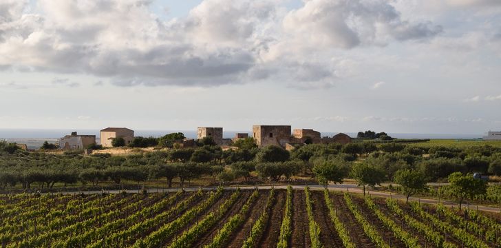 Sicilian Wine