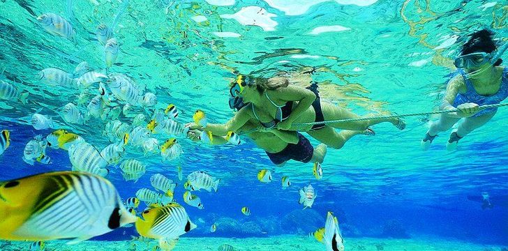 Snorkeling Belize