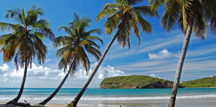 St Vincent&The Grenadines