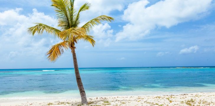 St Vincent and the Grenadines - Beach in Mustique