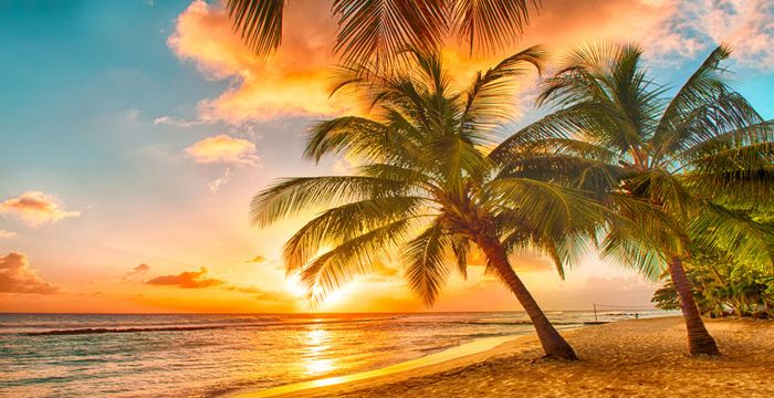 Enjoy stunning sunsets in the Caribbean island of Barbados