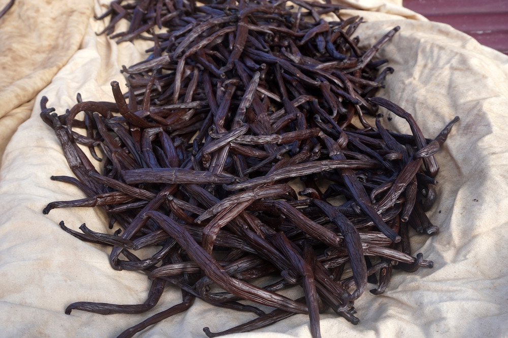 Taha'a vanilla discover on your bareboat yacht charter