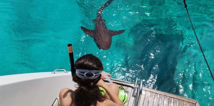 Whispers Catamaran Swimming Platform Snorkel Nurse Sharks,Bahamas