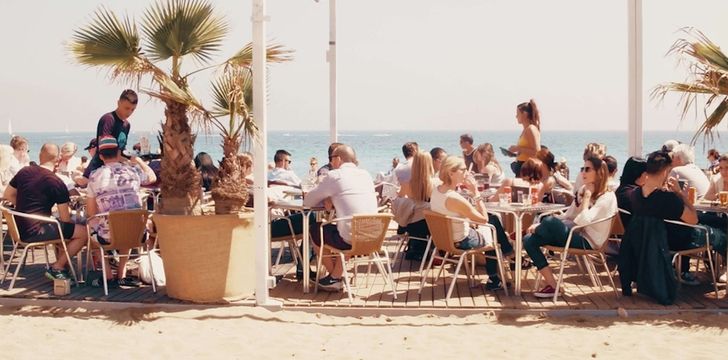 drink,beach,sea,lemon,fruit