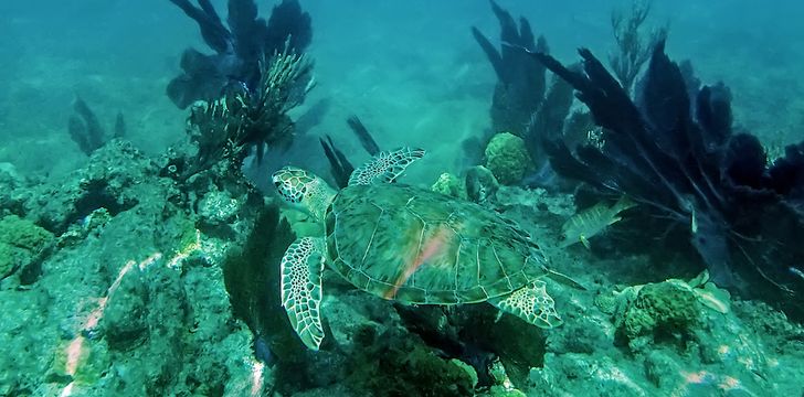 explore Looe Key with our sailing itinerary