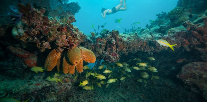 exploring key west via the water with our sailing itinerary