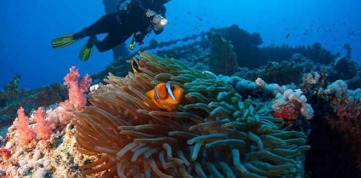 extreme diving bvi