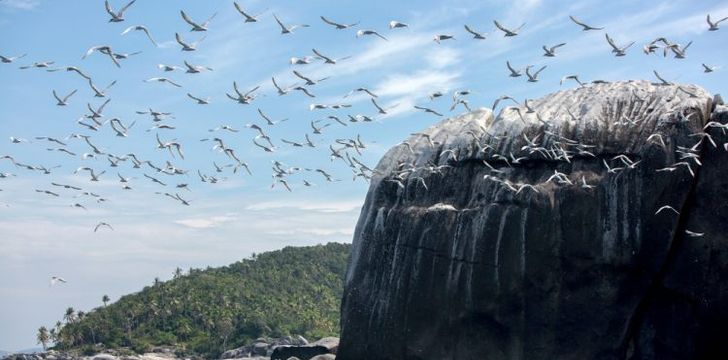 local geography in the stunning anambas islands