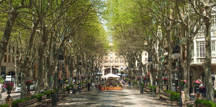 mallorca,Mallorca boat rental,palma yacht charter