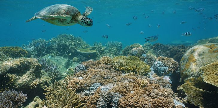 open island New Caledonia sailing itinerary