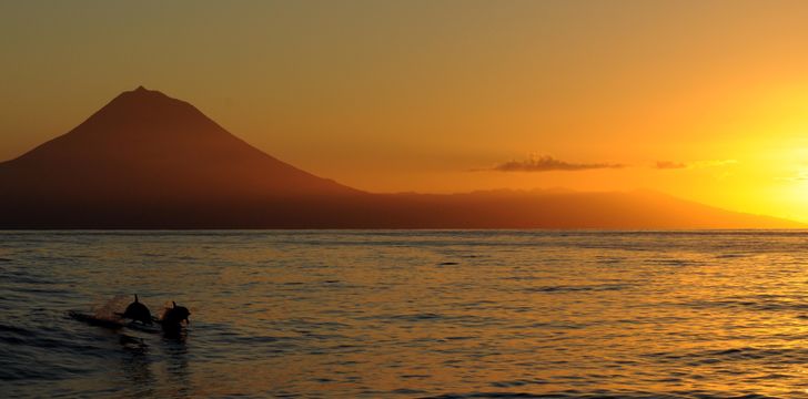 pico island sailing the azores