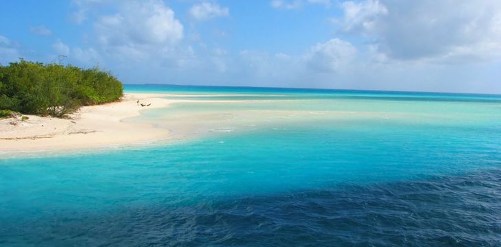 sandy spit bvi