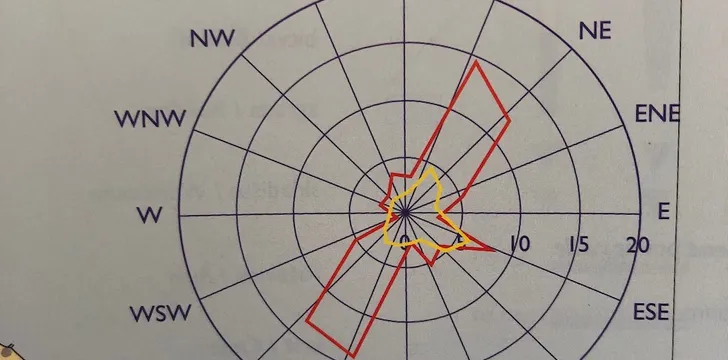 split summer wind rose