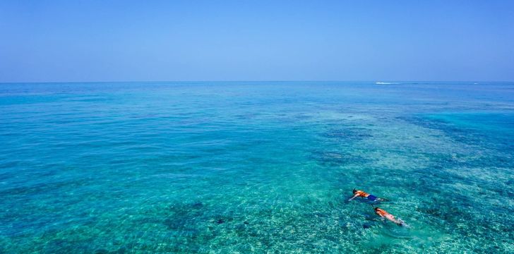 swim,sea,turquoise,waters