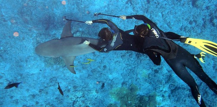 tahiti,French Polynesia,bora bora,mores