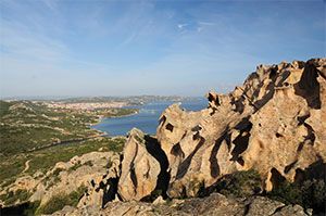 capo d'orso