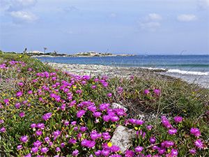 Santa Teresa Gallura