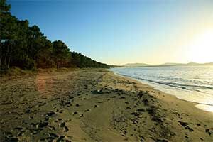 Sunset on the beach