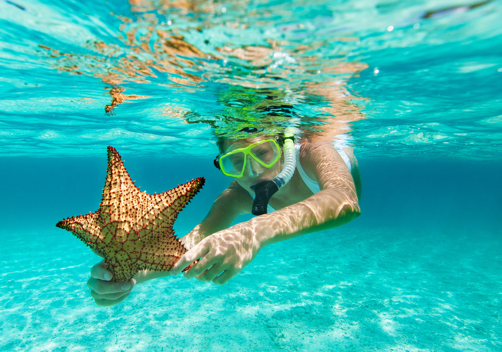 World's Best Destination Guides