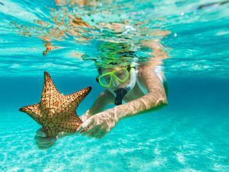 World's Best Destination Guides