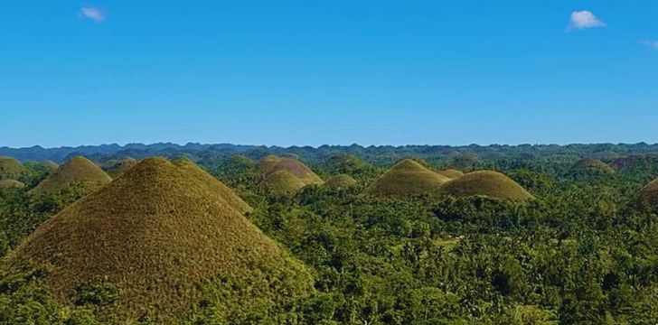 boatbookings bohol chocolate hills