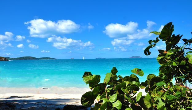 Beautiful and pristine Trunk Bay,St Johns