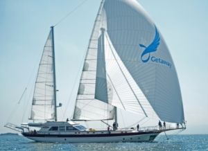 Screen Shot 2012-07-31 at 16.48.17 Luxury turkey gulet : serenity 86