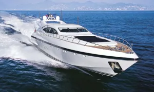 Mangusta